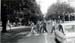 42-Tito-road