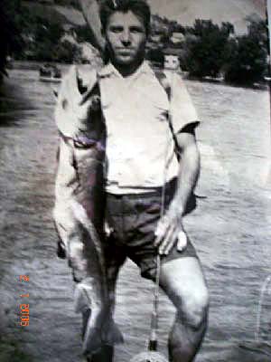 28-mladica