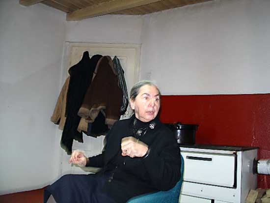 33-Kod-sporeta