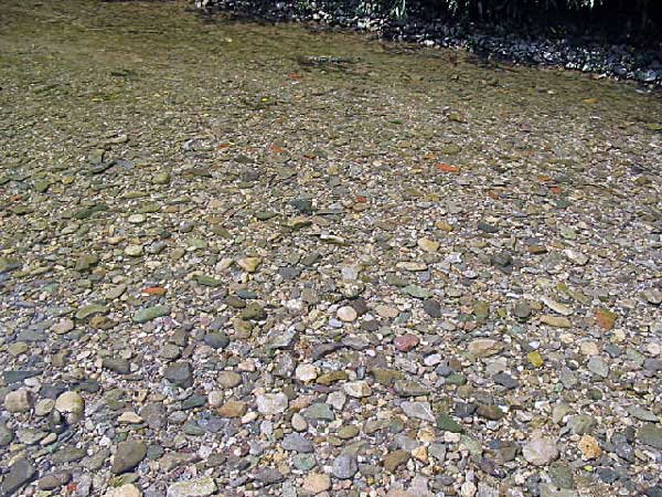 40-Vrbas-2006