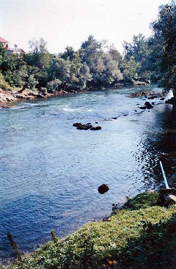 07--Pogled-prema-Limanu