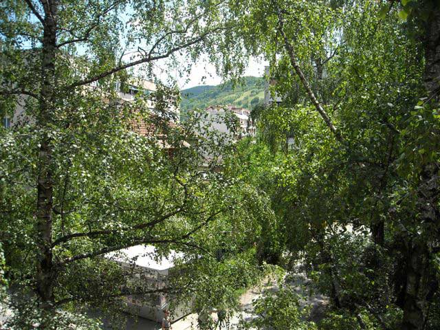 119-s-pajpovog-balkona