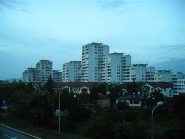 173-lamele
