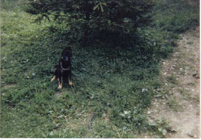 19-Ode kod Tetke