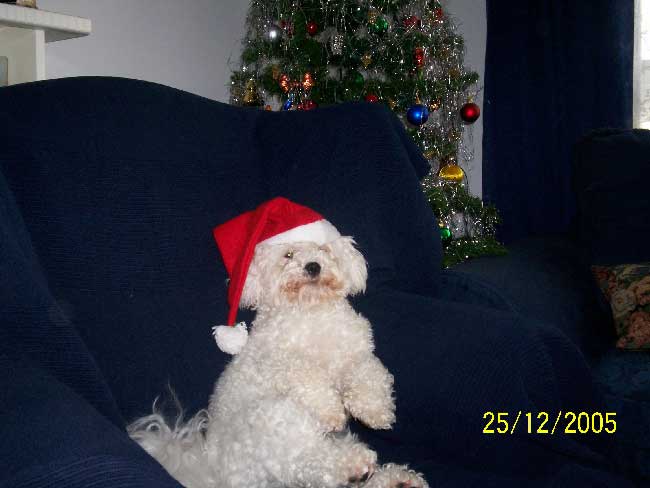 26-grumpy-santa