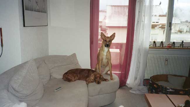 36-Charly-i-Honey