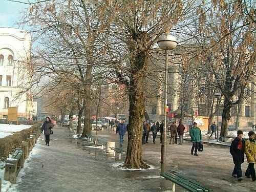 009-Parkic