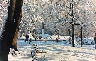 p.kocic