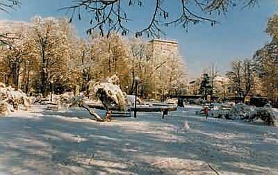 park
