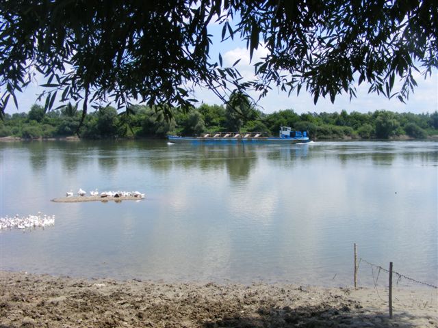Ladja na Savi