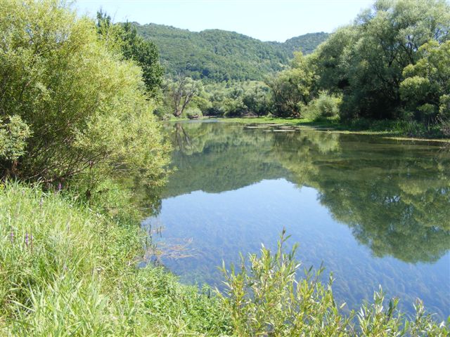 Sanica