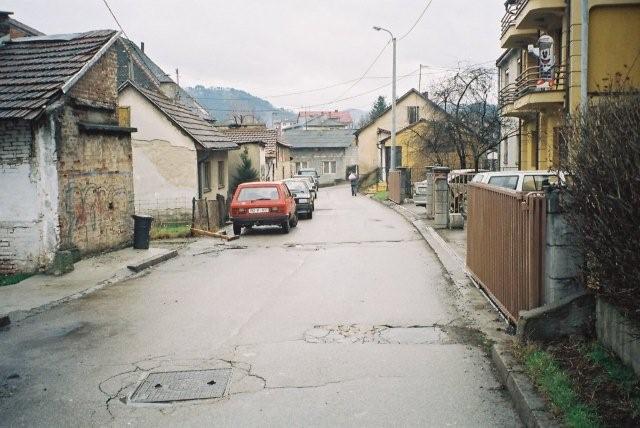 PREMA CISTOCI