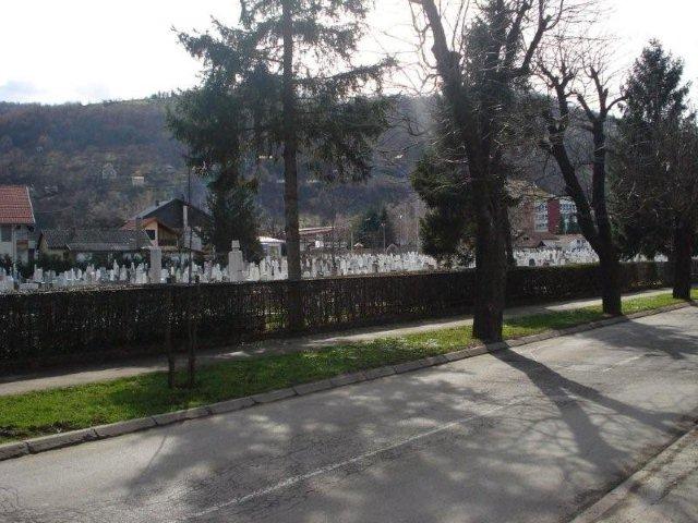 24stupnica