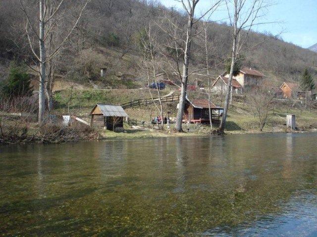 6ljepota