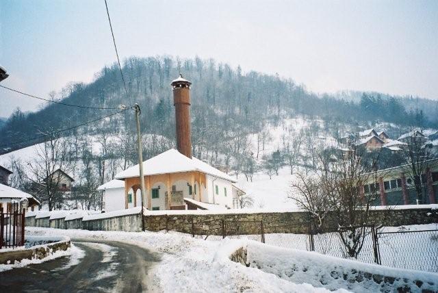 DESNA NOVOSELIJA